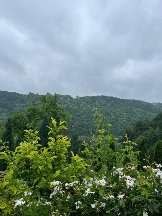 Villa Nature Bihać 外观 照片