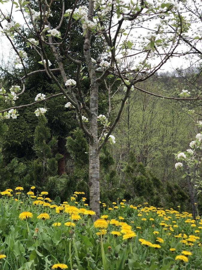 Villa Nature Bihać 外观 照片