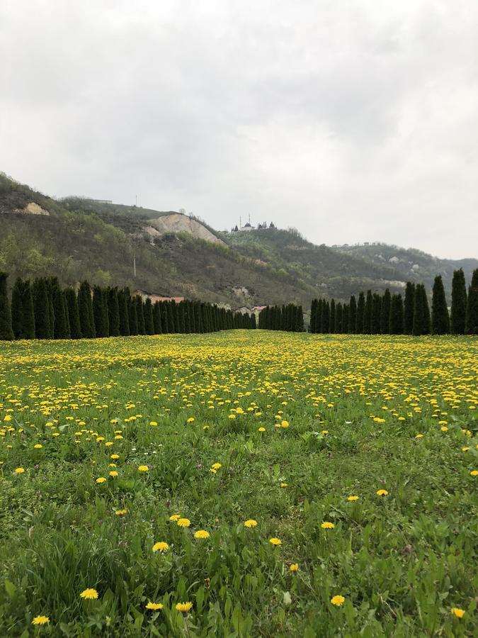 Villa Nature Bihać 外观 照片